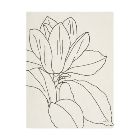 Moira Hershey 'Magnolia Line Drawing V2 Crop' Canvas Art,24x32